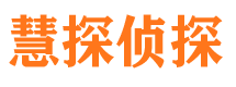 河西市侦探公司